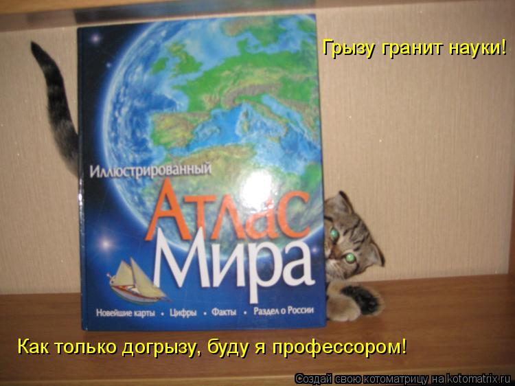 Грызу гранит науки! Как только догрызу, буду я профессором!... Котоматрица: Грызу гранит науки! Как только догрызу, буду я профессором!