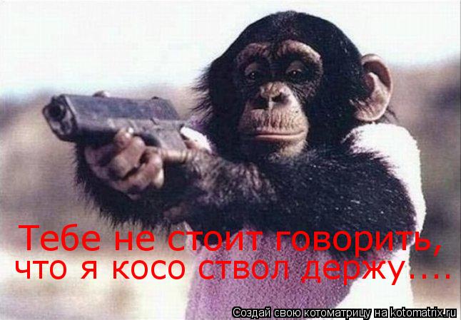 Тебе не стоит говорить, что я косо ствол держу....... Котоматрица: Тебе не стоит говорить, что я косо ствол держу....