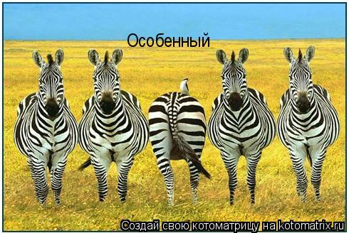 Особенный... Котоматрица: Особенный