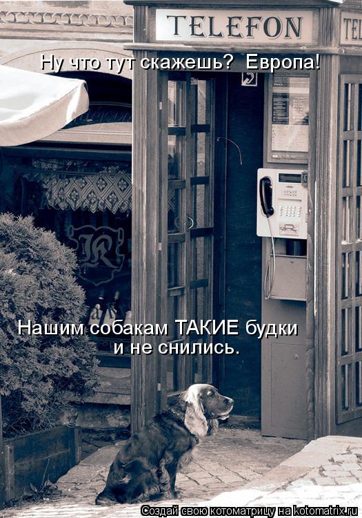 Котоматрица: Ну что тут скажешь?  Европа!  Нашим собакам ТАКИЕ будки  и не снились.