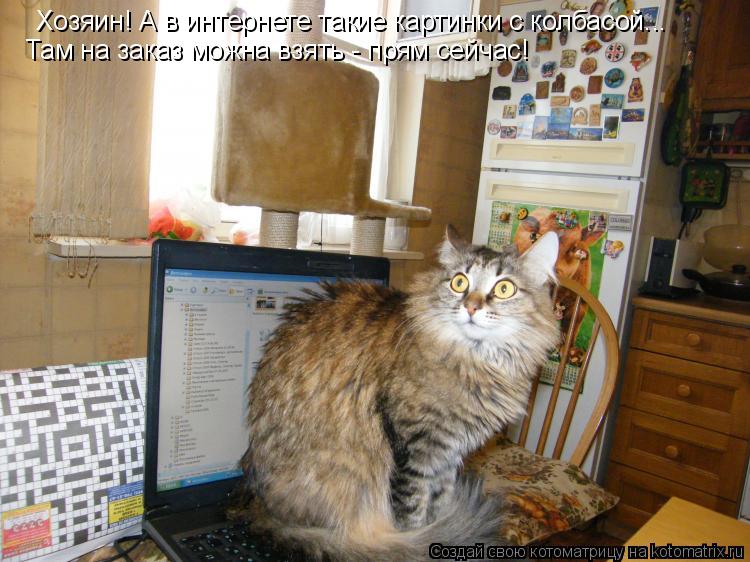 Котоматрица: Хозяин! А в интернете такие картинки с колбасой... Там на заказ можна взять - прям сейчас!