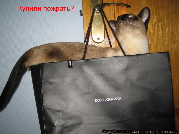 Котоматрица: Купили пожрать?