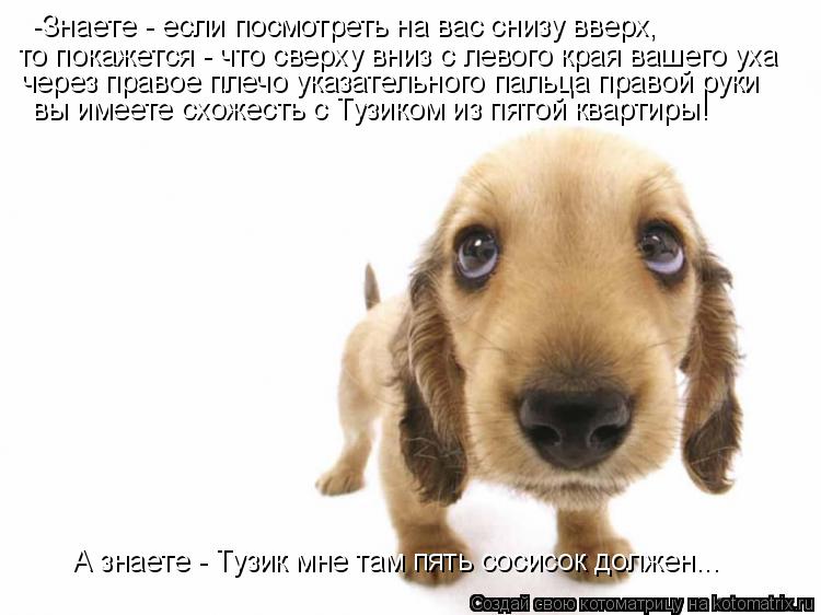 Котоматрица: -Знаете - если посмотреть на вас снизу вверх, то покажется - что сверху вниз с левого края вашего уха через правое плечо указательного пальца
