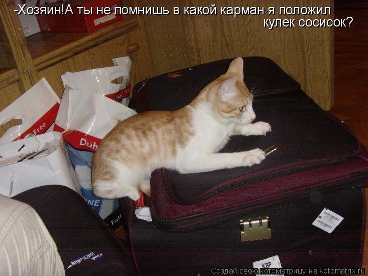 Котоматрица: -Хозяин!А ты не помнишь в какой карман я положил кулек сосисок?