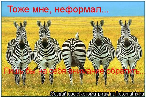 Котоматрица: Тоже мне, неформал... Лишь бы на себя внимание обратить...