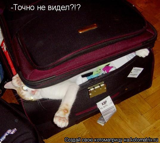 Котоматрица: -Точно не видел?!?