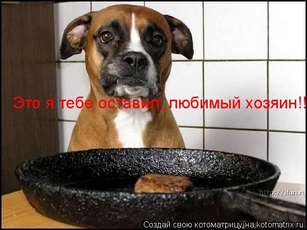 Котоматрица: Это я тебе оставил, любимый хозяин!!!