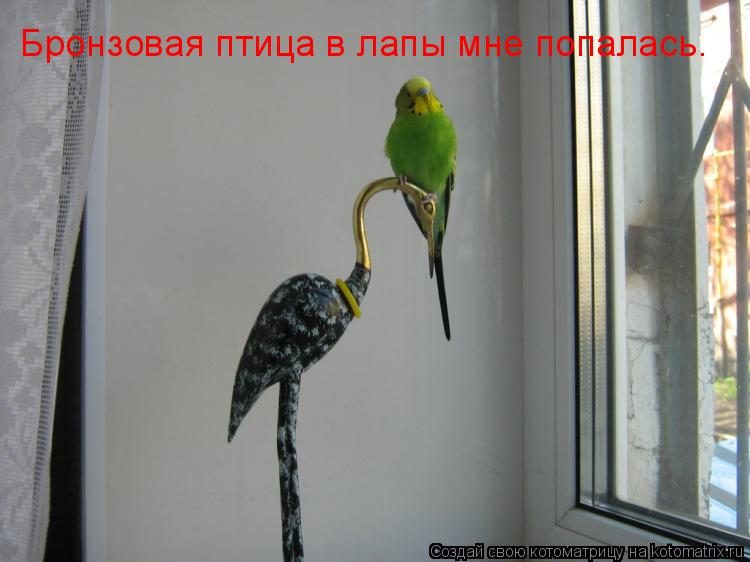 Котоматрица: Бронзовая птица в лапы мне попалась.
