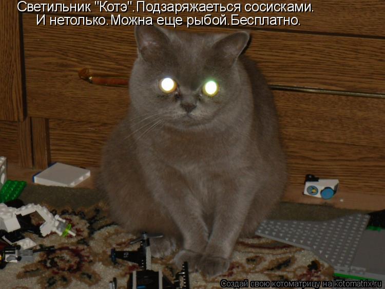 Котоматрица: Светильник "Котэ".Подзаряжаеться сосисками. И нетолько.Можна еще рыбой.Бесплатно.