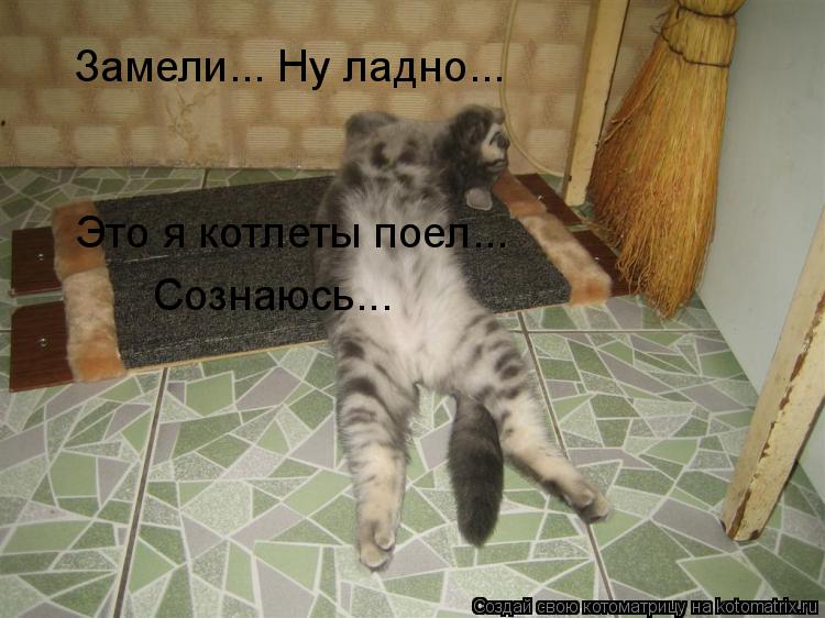 Котоматрица: Замели... Ну ладно... Это я котлеты поел... Сознаюсь...
