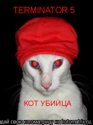 Котоматрица: TERMINATOR 5 КОТ УБИЙЦА