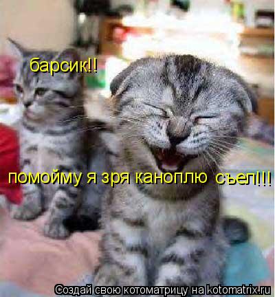 Котоматрица: барсик!! помойму я зря каноплю съел !!!