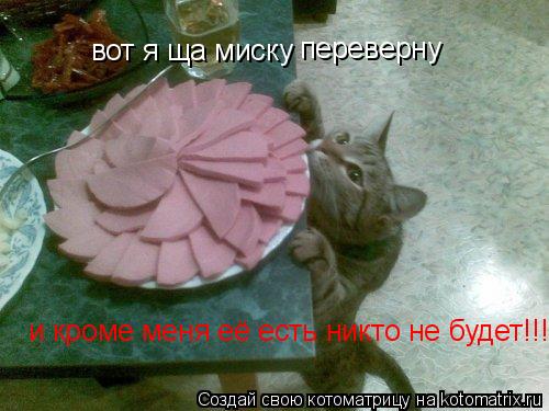 Котоматрица: вот я ща миску  переверну и кроме меня её есть никто не будет!!!!!!!!!!!!11