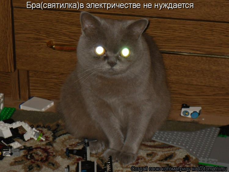 Котоматрица: Бра(святилка)в электричестве не нуждается