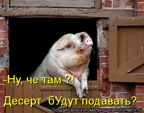 -Ну, че там ?! Десерт бУдут подавать?... Котоматрица: -Ну, че там ?! Десерт бУдут подавать?