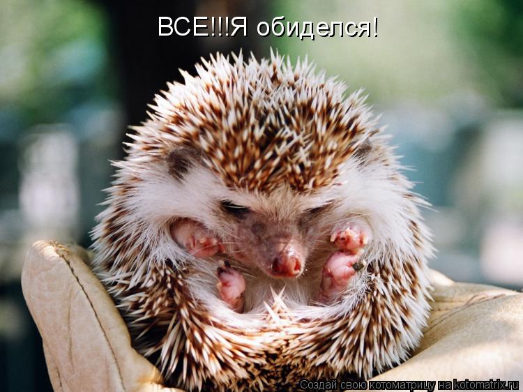 ВСЕ!!!Я обиделся!... Котоматрица: ВСЕ!!!Я обиделся!