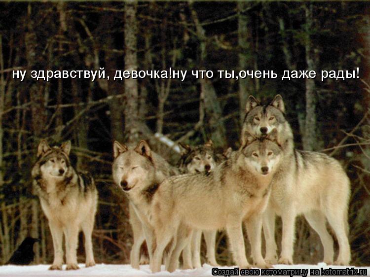 ну здравствуй, девочка!ну что ты,очень даже рады!... Котоматрица: ну здравствуй, девочка!ну что ты,очень даже рады!