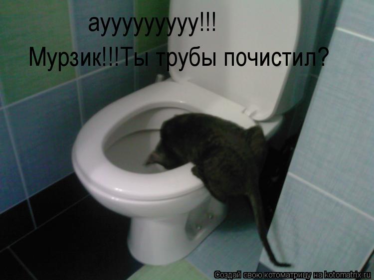 Мурзик!!!Ты трубы почистил? аууууууууу!!!... Котоматрица: Мурзик!!!Ты трубы почистил? аууууууууу!!!