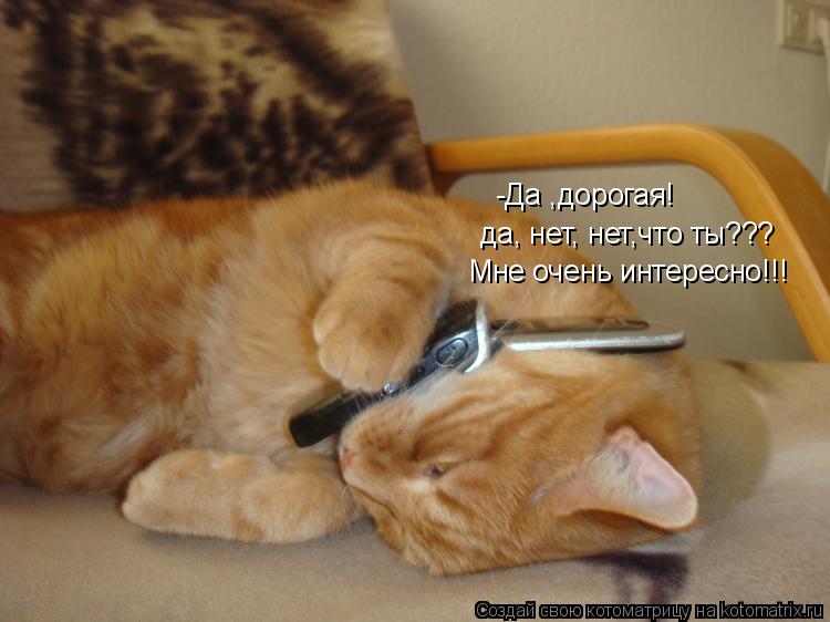 -Да ,дорогая! да, нет, нет,что ты??? Мне очень интересно!!!... Котоматрица: -Да ,дорогая! да, нет, нет,что ты??? Мне очень интересно!!!