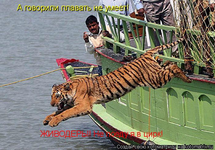 ЖИВОДЕРЫ! Не поеду я в цирк! А говорили плавать не умеет!... Котоматрица: ЖИВОДЕРЫ! Не поеду я в цирк! А говорили плавать не умеет!