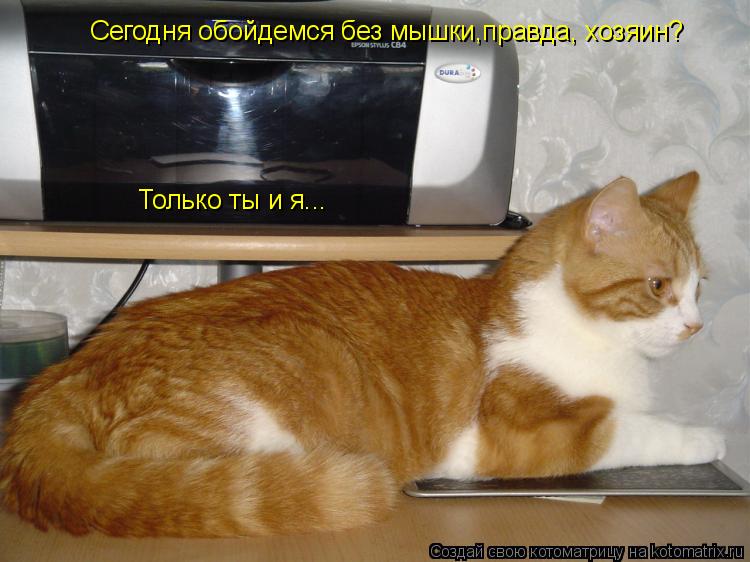 Сегодня обойдемся без мышки,правда, хозяин? Только ты и я...... Котоматрица: Сегодня обойдемся без мышки,правда, хозяин? Только ты и я...