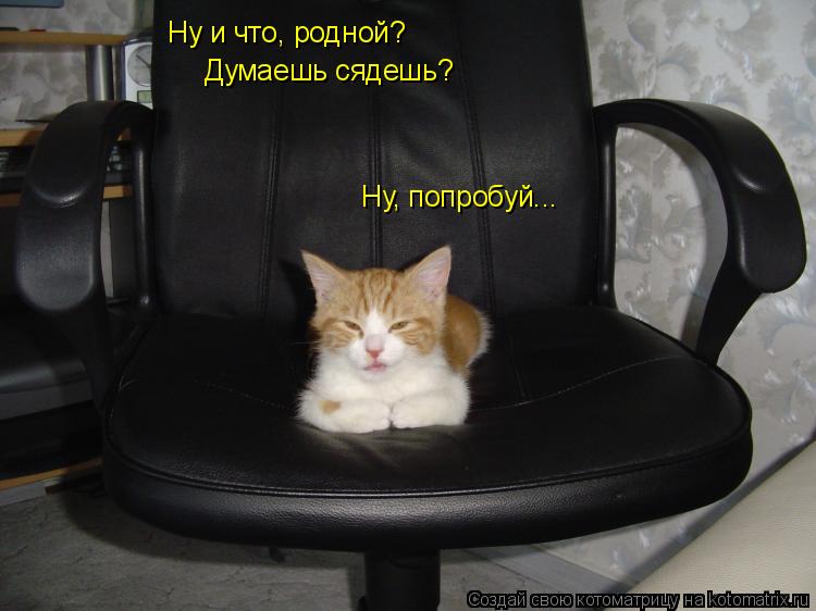 Ну и что, родной? Думаешь сядешь? Ну, попробуй...... Котоматрица: Ну и что, родной? Думаешь сядешь? Ну, попробуй...
