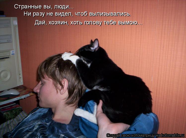 Странные вы, люди... Ни разу не видел, чтоб вылизывались. Дай, хозяин, хоть голову тебе вымою...... Котоматрица: Странные вы, люди... Ни разу не видел, чтоб вылизывались. Дай, хозяин, хоть голову тебе вымою...
