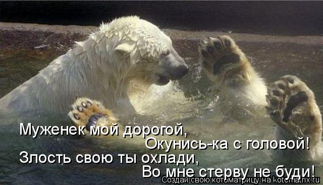 Муженек мой дорогой, Окунись-ка с головой! Злость свою ты охлади, Во мне стерву не буди!... Котоматрица: Муженек мой дорогой, Окунись-ка с головой! Злость свою ты охлади, Во мне стерву не буди!