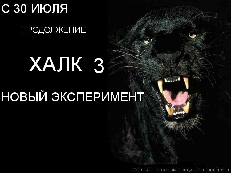 ХАЛК ПРОДОЛЖЕНИЕ 3 НОВЫЙ ЭКСПЕРИМЕНТ С 30 ИЮЛЯ... Котоматрица: ХАЛК ПРОДОЛЖЕНИЕ 3 НОВЫЙ ЭКСПЕРИМЕНТ С 30 ИЮЛЯ