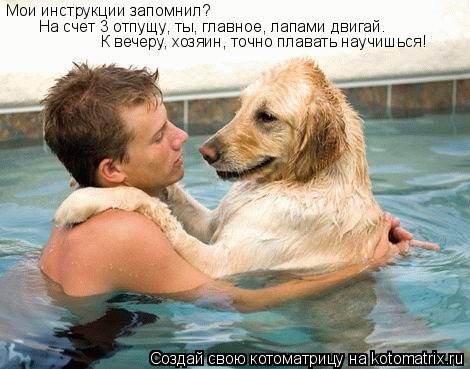 Мои инструкции запомнил? На счет 3 отпущу, ты, главное, лапами двигай. К вечеру, хозяин, точно плават... Котоматрица: Мои инструкции запомнил? На счет 3 отпущу, ты, главное, лапами двигай. К вечеру, хозяин, точно плавать научишься!
