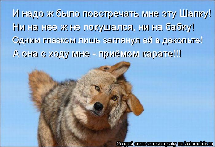 И надо ж было повстречать мне эту Шапку! Ни на нее ж не покушался, ни на бабку! Одним глазком лишь за... Котоматрица: И надо ж было повстречать мне эту Шапку! Ни на нее ж не покушался, ни на бабку! Одним глазком лишь заглянул ей в декольте! А она с ходу мне - при