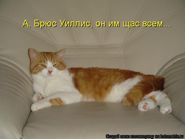 А, Брюс Уиллис, он им щас всем...... Котоматрица: А, Брюс Уиллис, он им щас всем...