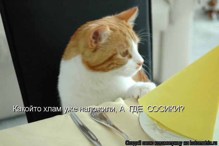 Какойто хлам уже наложили, А ГДЕ СОСИКИ?... Котоматрица: Какойто хлам уже наложили, А ГДЕ СОСИКИ?