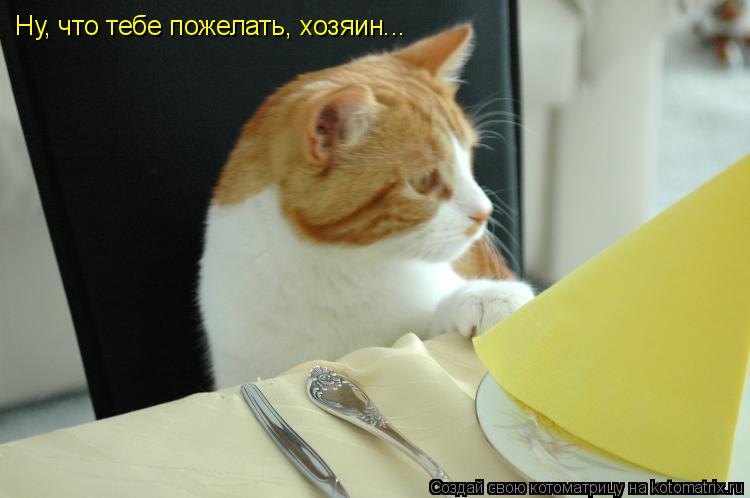 Ну, что тебе пожелать, хозяин...... Котоматрица: Ну, что тебе пожелать, хозяин...