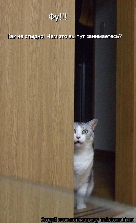 Фу!!! Как не стыдно! Чем это вы тут занимаетесь?... Котоматрица: Фу!!! Как не стыдно! Чем это вы тут занимаетесь?
