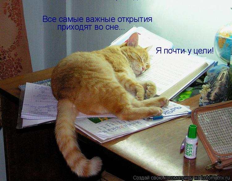 Все самые важные открытия приходят во сне... приходят во сне... Я почти у цели!... Котоматрица: Все самые важные открытия приходят во сне... приходят во сне... Я почти у цели!
