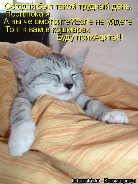 Сегодня был такой трудный день. Посплюка я. А вы че смотрите?Есле не уйдете То я к вам в кошмарах Буд... Котоматрица: Сегодня был такой трудный день. Посплюка я. А вы че смотрите?Есле не уйдете То я к вам в кошмарах Буду прихАдить!!!