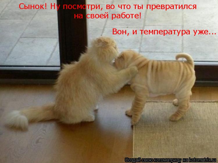 Сынок! Ну посмотри, во что ты превратился на своей работе! Вон, и температура уже... Сынок! Ну посмот... Котоматрица: Сынок! Ну посмотри, во что ты превратился на своей работе! Вон, и температура уже... Сынок! Ну посмотри, во что ты превратился на своей работе!