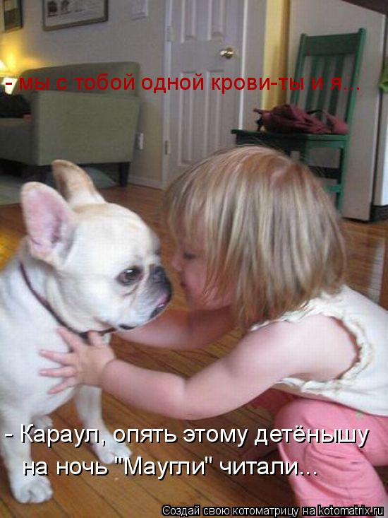 - мы с тобой одной крови-ты и я... - Караул, опять этому детёнышу на ночь "Маугли" читали...... Котоматрица: - мы с тобой одной крови-ты и я... - Караул, опять этому детёнышу на ночь "Маугли" читали...