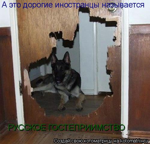 А это дорогие иностранцы называется РУССКОЕ ГОСТЕПРИИМСТВО... Котоматрица: А это дорогие иностранцы называется РУССКОЕ ГОСТЕПРИИМСТВО