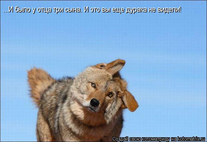 ...И было у отца три сына. И это вы еще дурака не видели!... Котоматрица: ...И было у отца три сына. И это вы еще дурака не видели!