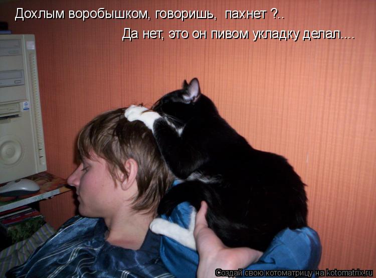 Дохлым воробышком, говоришь, пахнет ?.. Да нет, это он пивом укладку делал....... Котоматрица: Дохлым воробышком, говоришь, пахнет ?.. Да нет, это он пивом укладку делал....