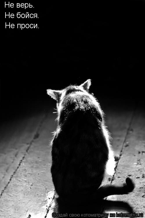 Не верь. Не бойся. Не проси.... Котоматрица: Не верь. Не бойся. Не проси.