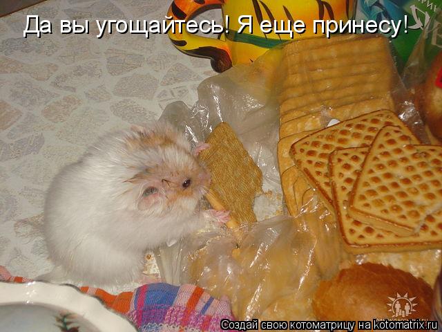 Да вы угощайтесь! Я еще принесу!... Котоматрица: Да вы угощайтесь! Я еще принесу!