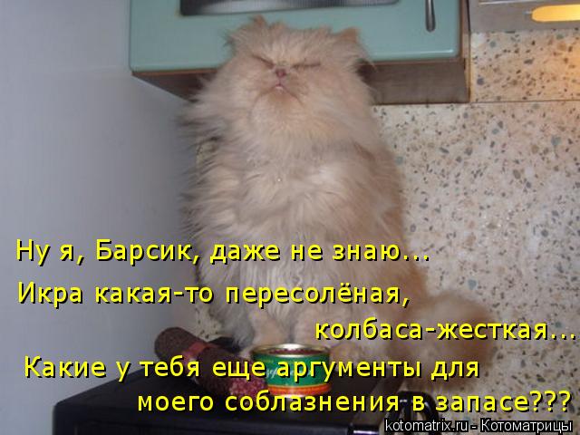 Икра какая-то пересолёная, Какие у тебя еще аргументы для моего соблазнения в запасе??? Ну я, Барсик... Котоматрица: Икра какая-то пересолёная, Какие у тебя еще аргументы для моего соблазнения в запасе??? Ну я, Барсик, даже не знаю... колбаса-жесткая...