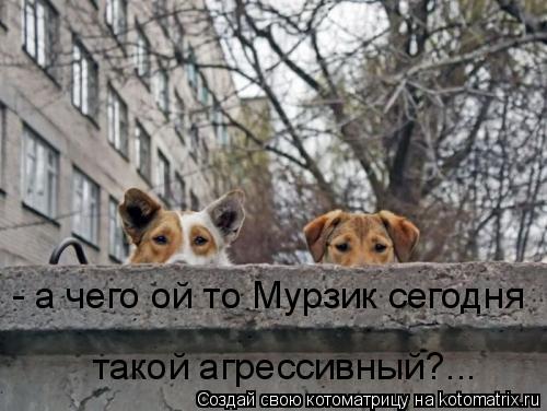 - а чего ой то Мурзик сегодня такой агрессивный?...... Котоматрица: - а чего ой то Мурзик сегодня такой агрессивный?...