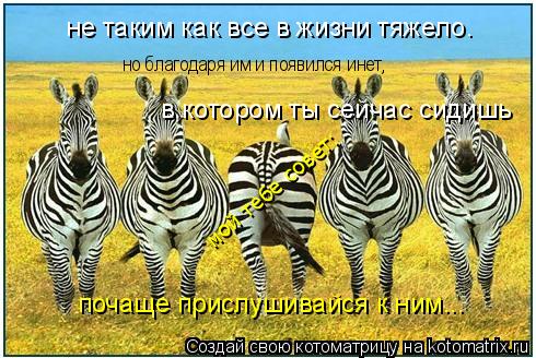 но благодаря им и появился инет, не таким как все в жизни тяжело. в котором ты сейчас сидишь почаще п... Котоматрица: но благодаря им и появился инет, не таким как все в жизни тяжело. в котором ты сейчас сидишь почаще прислушивайся к ним... мой тебе совет: