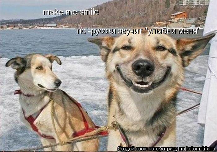 make me smile по -русски звучит "улыбни меня"... Котоматрица: make me smile по -русски звучит "улыбни меня"