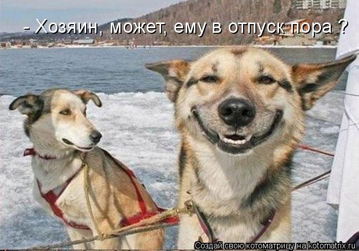 - Хозяин, может, ему в отпуск пора ?... Котоматрица: - Хозяин, может, ему в отпуск пора ?