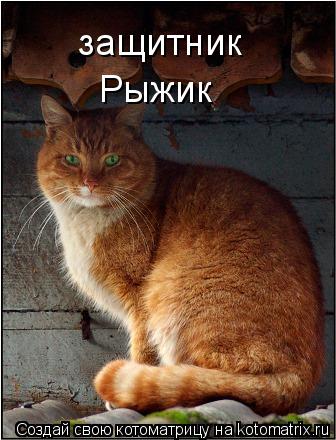 защитник Рыжик... Котоматрица: защитник Рыжик